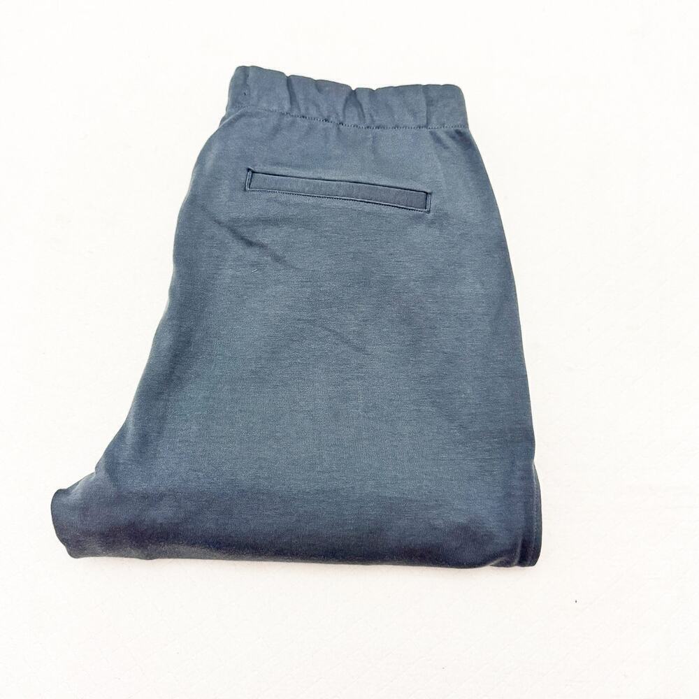 Everlane Sweat Seam Pleat Comfort Straight Leg Jogger Style Pant Size L